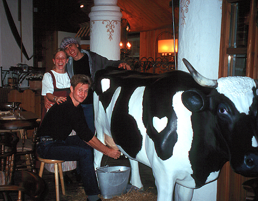 Speedy milking a Swiss cow