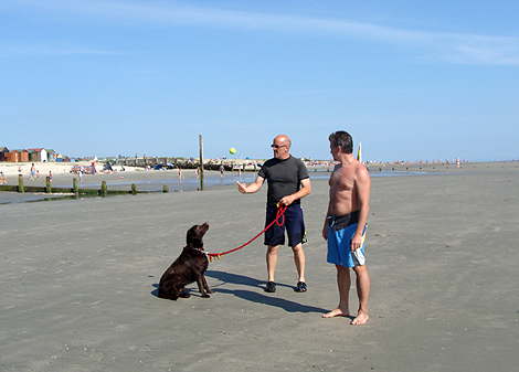 Handsome Humphrey on the beach
