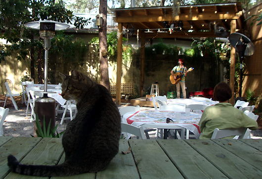 Charlie with cat in Tallahassee
