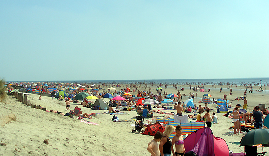 At the seaside. Photo by Denise.